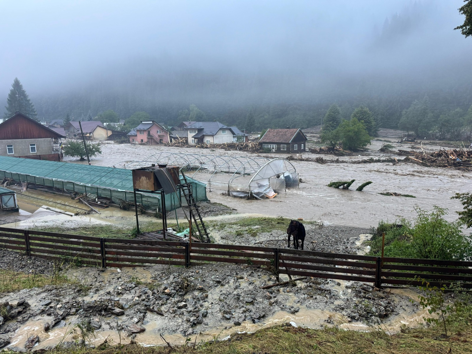 Floods caused severe damage in Suceava and Neamt counties in Romania in late July 2025. Credit: Inspectoratul General pentru Situatii de Urgenta (IGSU), Romania