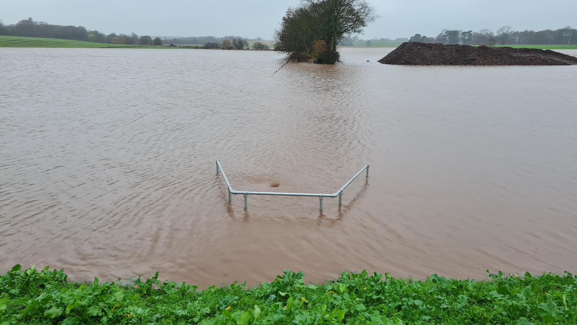 Upstream side of the embankment at the Brothock Meadows flood storage area (FSA). The railing indicates the entrance to the culvert, which was holding back water. The storage area worked well.