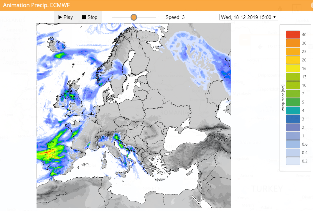 ECMWF precipitation forecast for one of the assessed flood events.