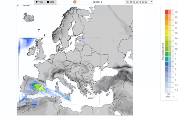 COSMO-LEPS precipitation forecast for one of the assessed flood events.